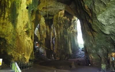 Gomantong Cave Borneo | Wildlife, Swiftlet Nests & Travel Guide