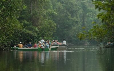 Kinabatangan River Sabah Malaysia | Wildlife & Cruise Guide