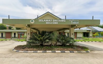 Rainforest Discovery Centre Sabah | Complete Travel Guide