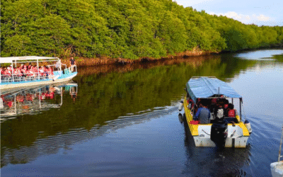 Kinabatangan River Cruise | Best Wildlife Safari in Sabah
