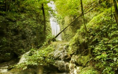 Sorinsim Waterfall Sabah | Complete Travel & Adventure Guide