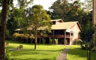 Borneo Rainforest Lodge Sabah | Luxury Stay in Danum Valley