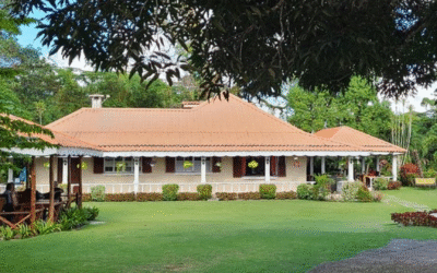 English Tea House & Restaurant Sandakan