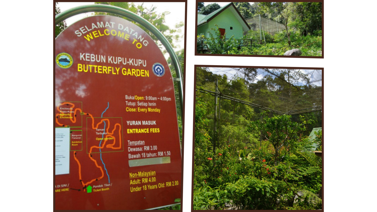 Poring Hot Spring Map Poring Hot Spring Sabah | Natural Hot Springs in Ranau ...