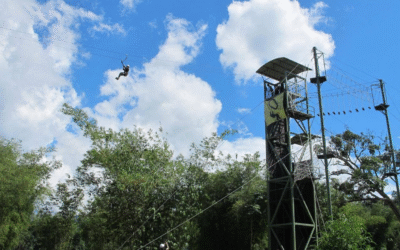Zip Borneo Kiulu | Sabah’s Best Zipline Adventure