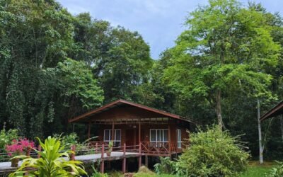 Nature Lodge Kinabatangan | Jungle & Wildlife Stay
